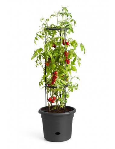 green basics tomato pot 33cm living black