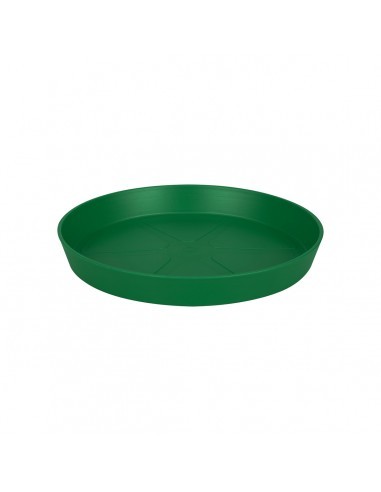 loft saucer round 24 lush green