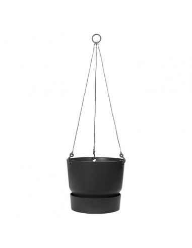 greenville hanging basket 24cm living black