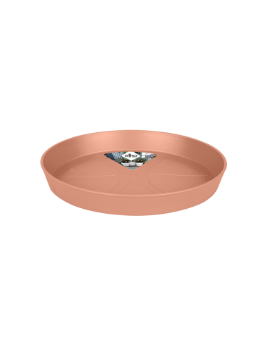 loft saucer round 34 delicate pink