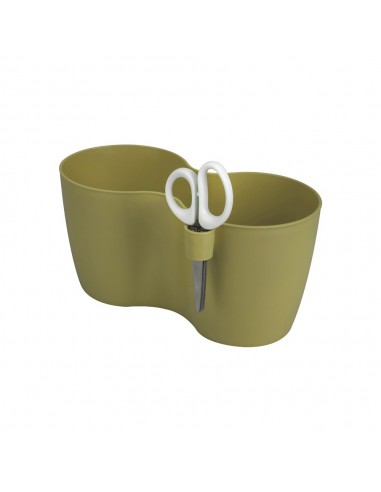 brussels herbs duo s olive green