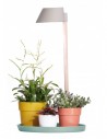 plant light care